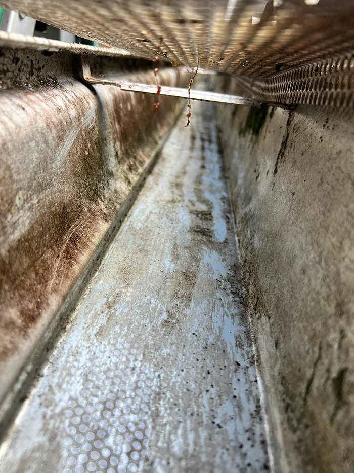 Gutter after cleaning